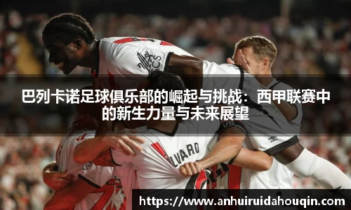 巴列卡诺足球俱乐部的崛起与挑战:西甲联赛中的新生力量与未来展望