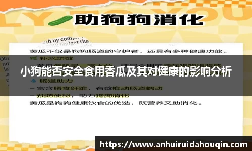 小狗能否安全食用香瓜及其对健康的影响分析